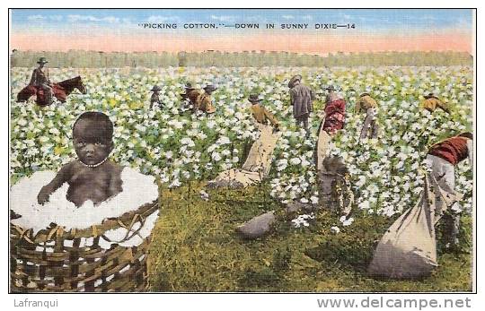 ETATS UNIS - Ref No 15- Picking Cotton -down In Sunny Dixie   -  Bon Etat - Black Americana
