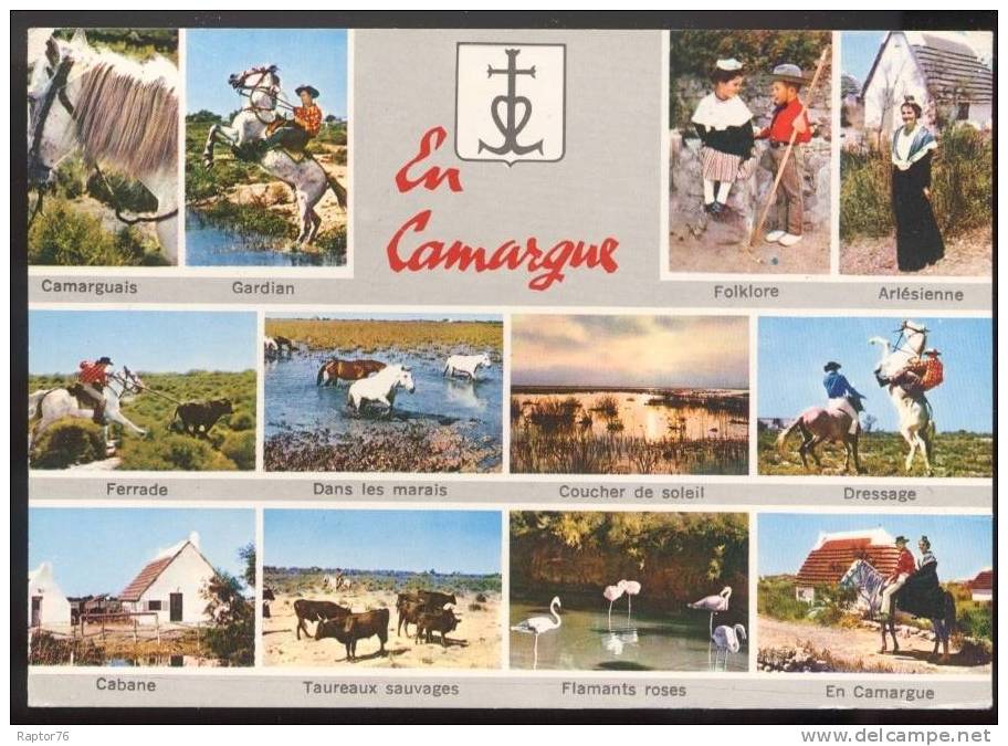 CPM  LA CAMARGUE  Multi-vues - Languedoc-Roussillon