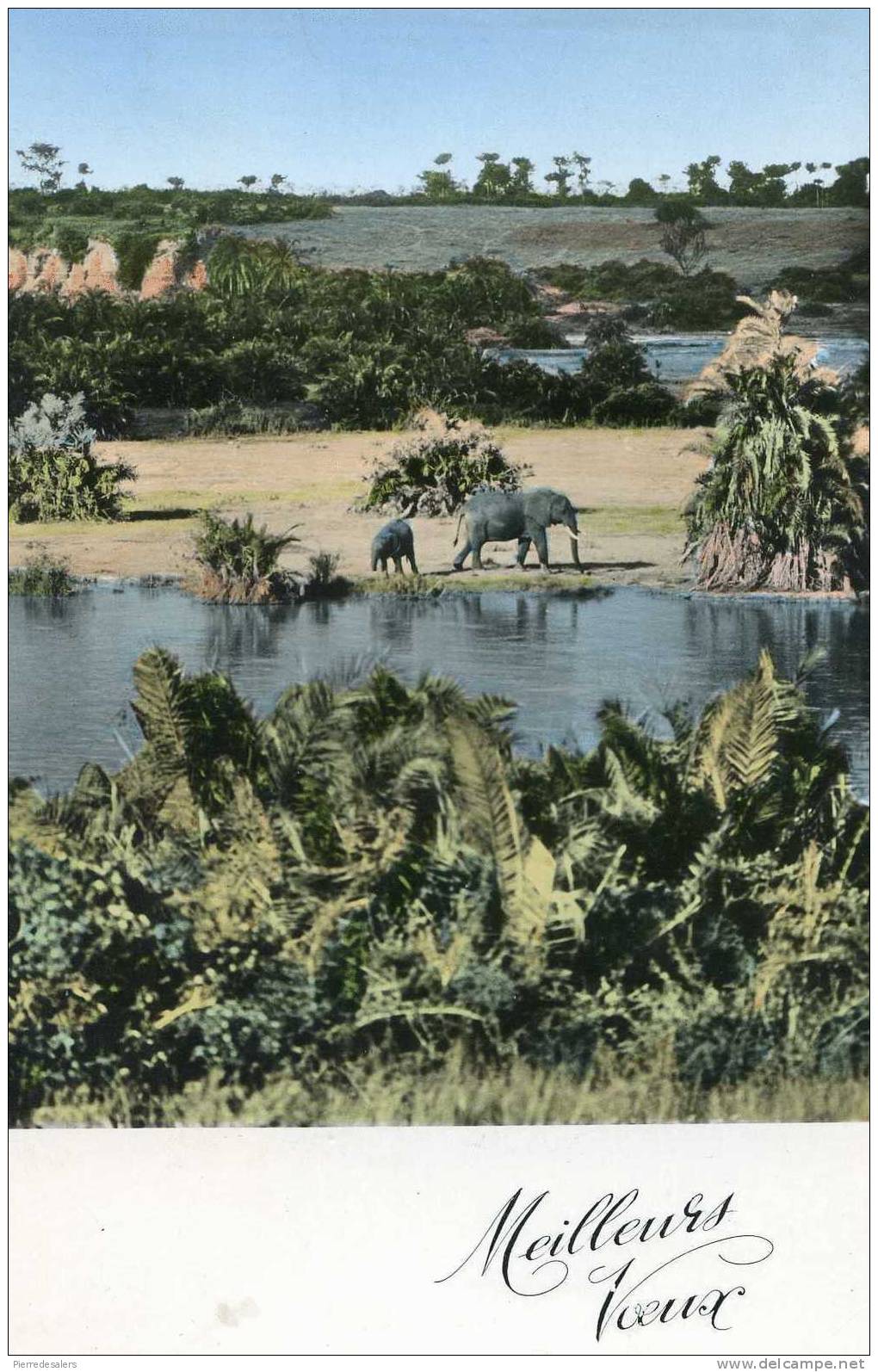 Z - Tchad - Eléphant Près De L'oasis  (carte De Voeux) - Afrique - Tschad