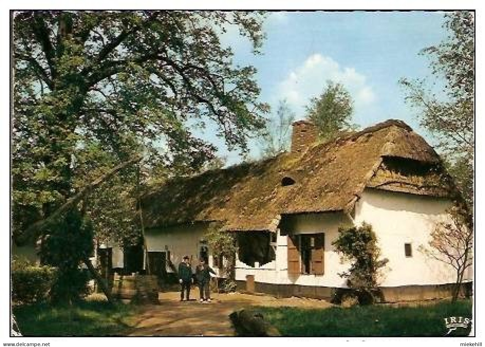 BOKRIJK-OPENLUCHTMUSEUM-DE WELLENSHOEVE ( LUMMEN) - Genk