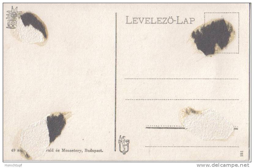 Slowakei; Hohe Tatra; Fünf Seen Mit Tery Schutzhaus; 1912 - Slovacchia