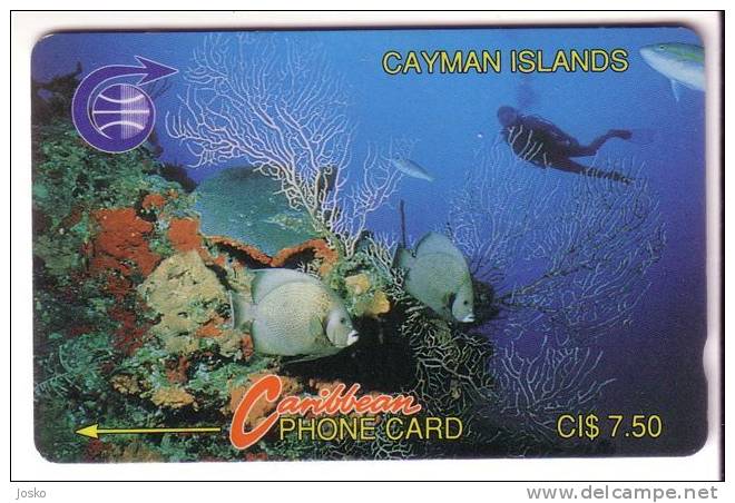 DIVER ( Cayman Islands - 2CCIA ) * Underwater World Undersea Sea Life Marine Fish Poisson * Diving Plongee Dive Plongeur - Iles Cayman