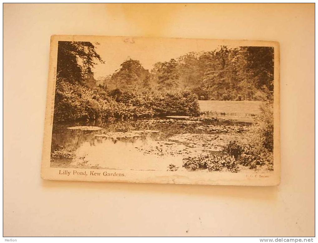 Lilly Pond - Kew Gardens   PU 1904   G  D35859 - London Suburbs