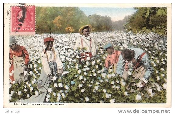 ETATS UNIS - Ref No 316- A Busy Day In The Cotton Field   - Bon Etat - Black Americana