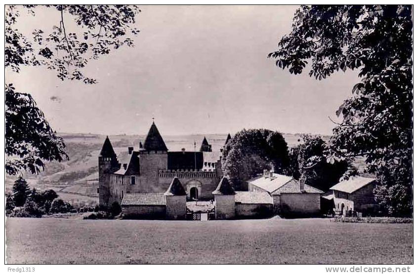 Virieu - Chateau - Virieu