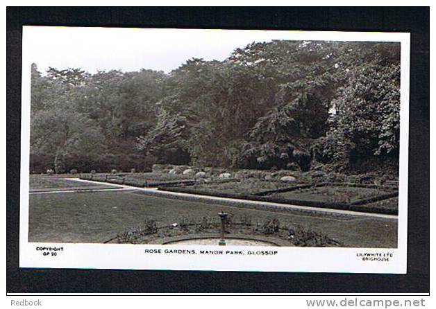 Real Photo Postcard Rose Gardens Manor Park Glossop Derbyshire - Ref 227 - Derbyshire