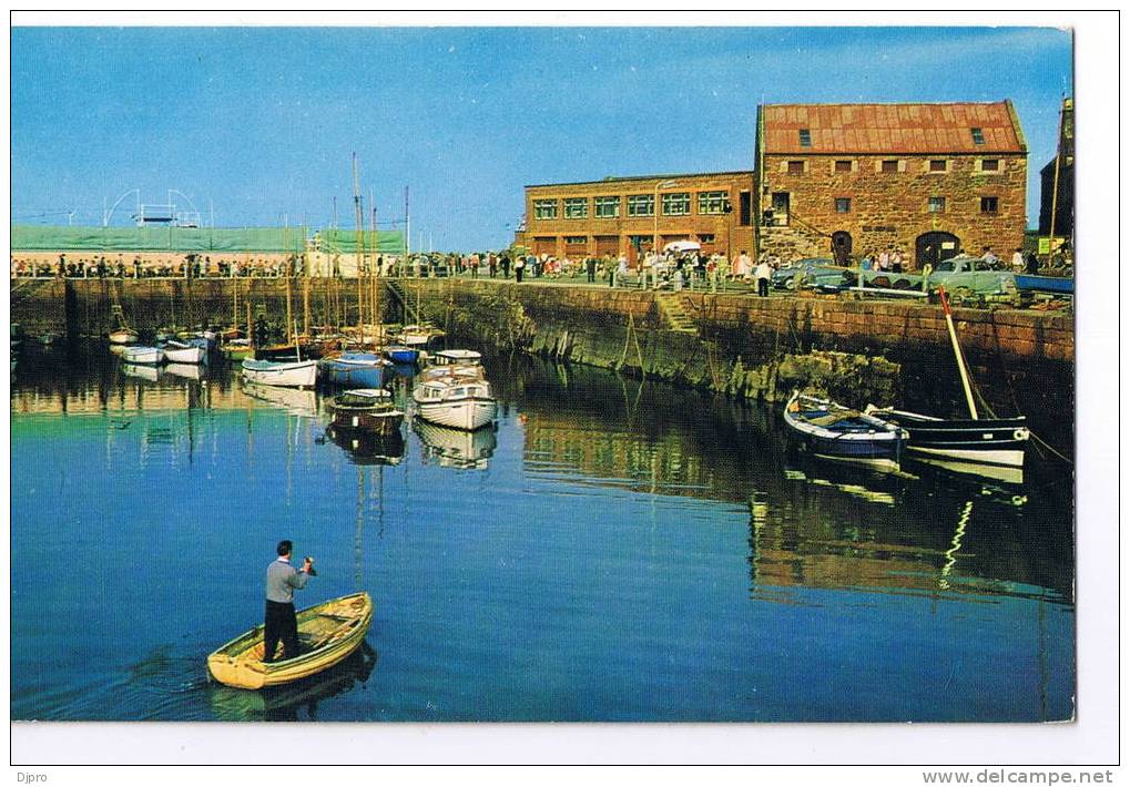 NORTH BERWICK  The Harbour - East Lothian