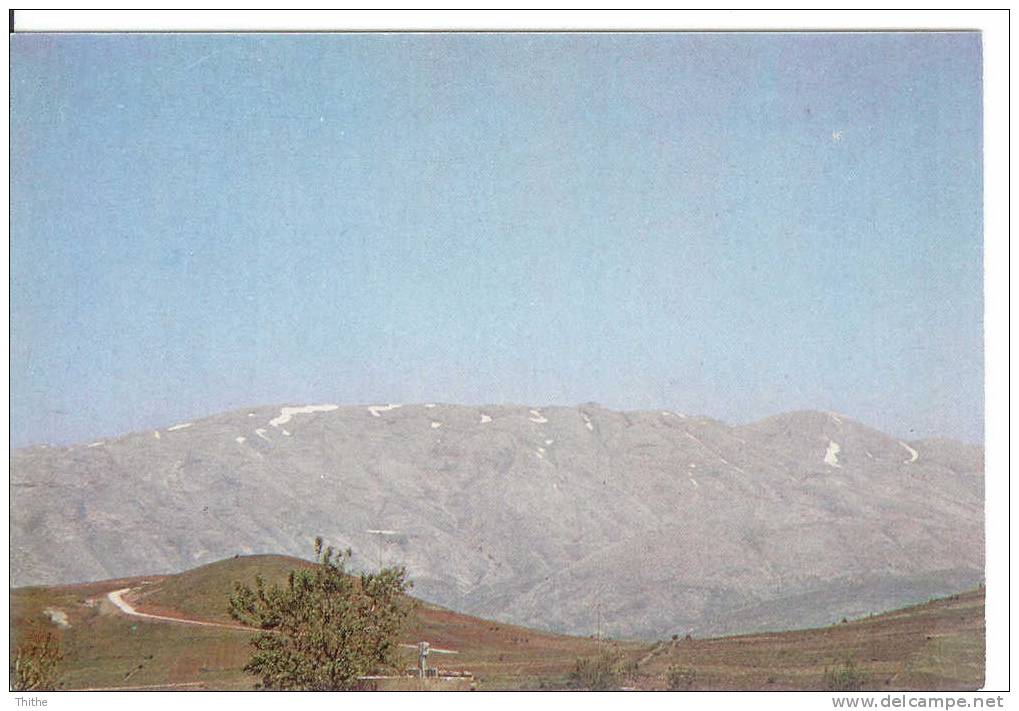 Mont Mount HEBRON - Palestine