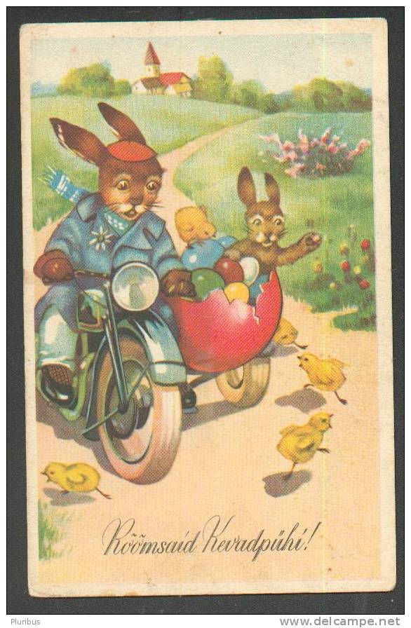 BUNNY WITH MOTORBIKE, MOTORCYCLE WITH SIDECAR, VINTAGE PC - Moto