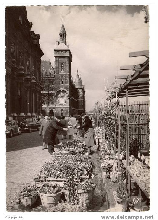 CPSM De Paris – Le Marché Aux Fleurs - Marchés