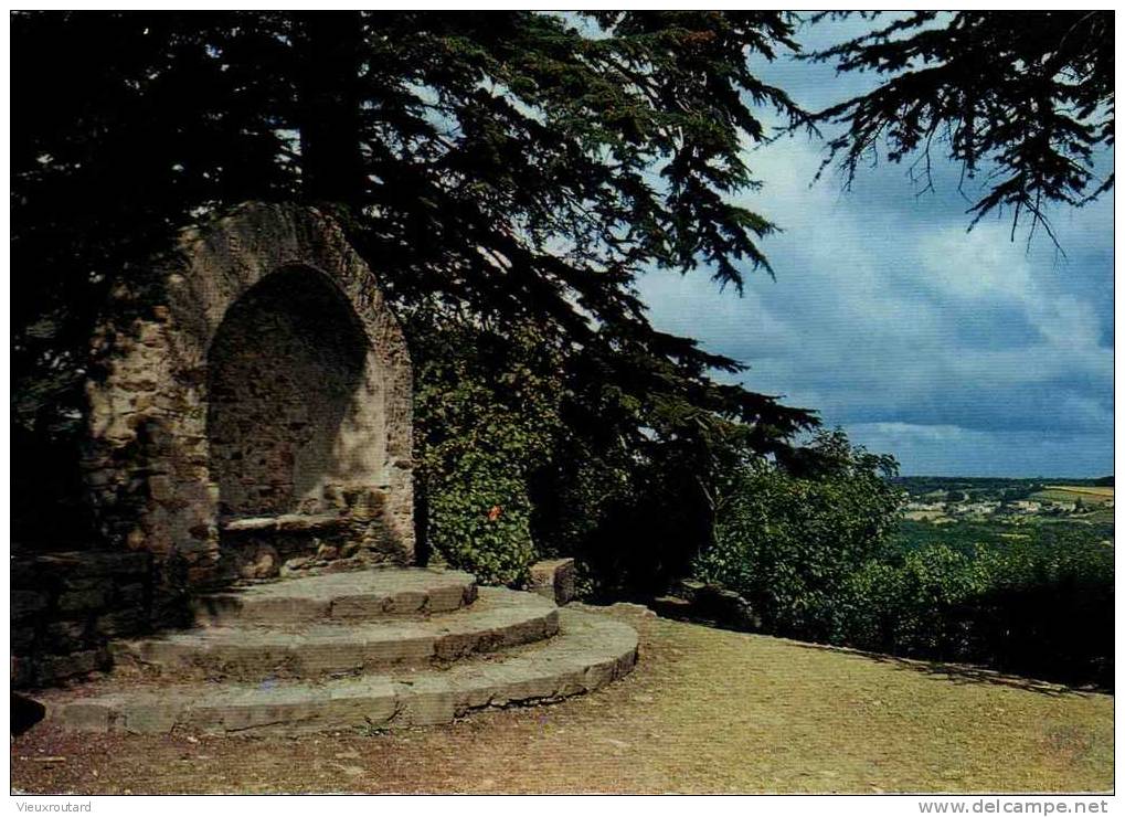 CPSM .  CHAMPTOCEAUX. LA GROTTE DE CHAMPALUD. DATEE 1986. - Champtoceaux