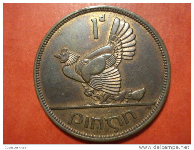 3038 IRELAND EIRE IRLANDA  1  PENNY  GALLINA POULE ANIMAL    AÑO / YEAR  1942 XF+++ - Ireland