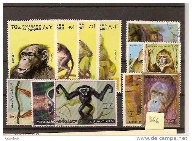 366 - Singes (fujeira, Ajman, Umm Al Qwain) - Apen