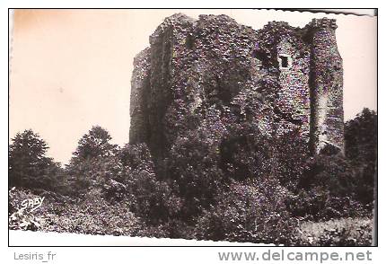 CP - POUZAUGES - LES RUINES DU VIEUX CHATEAU DE GILLES DE RETZ LE FAMEUX BARBE BLEUE - GABY - 13 - - Pouzauges