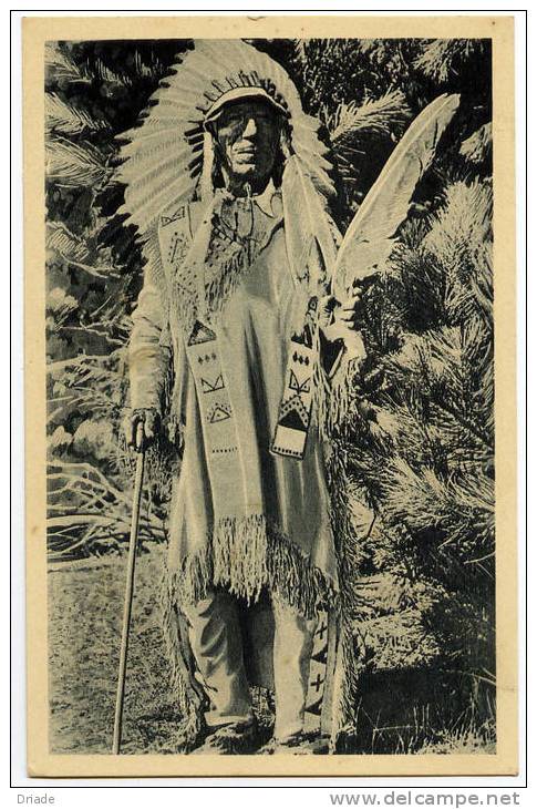 CARTOLINA FORMATO PICCOLO INDIANI D'AMERICA CAPO DAKOTA INDIANS - Native Americans