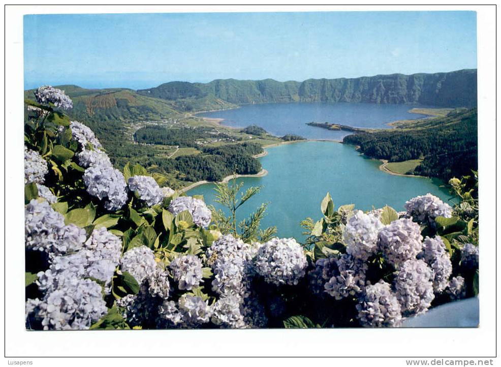 Portugal Cor 2270– AÇORES AZORES AZOREN – SÃO MIGUEL – LAGOA SETE CIDADES - HORTENSES - Açores