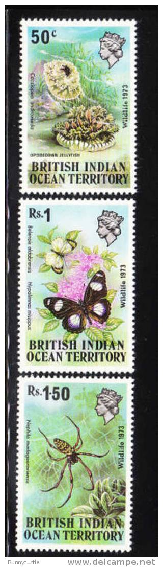 British Indian Ocean Territory BIOT 1973 Wildlife Jellyfish Butterflies Spider MNH - Britisches Territorium Im Indischen Ozean