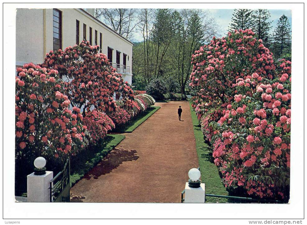 Portugal Cor 2286– AÇORES AZORES AZOREN – SÃO MIGUEL – FURNAS - ENTRADA DO HOTEL TERRA NOSTRA - Açores