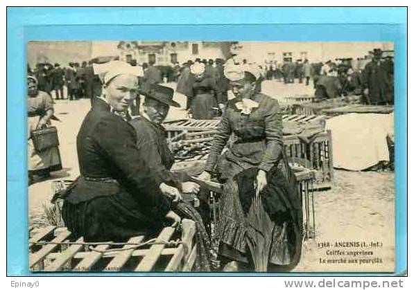 B - 44 - ANCENIS - Coiffe Angevine - Marché Aux Cochons - Ancenis