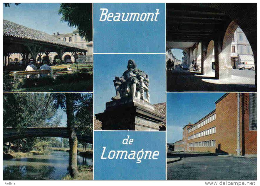 Carte Postale 82.  Beaumont-de-Lomagne   Pierre De Fermat  Trés Beau Plan - Beaumont De Lomagne