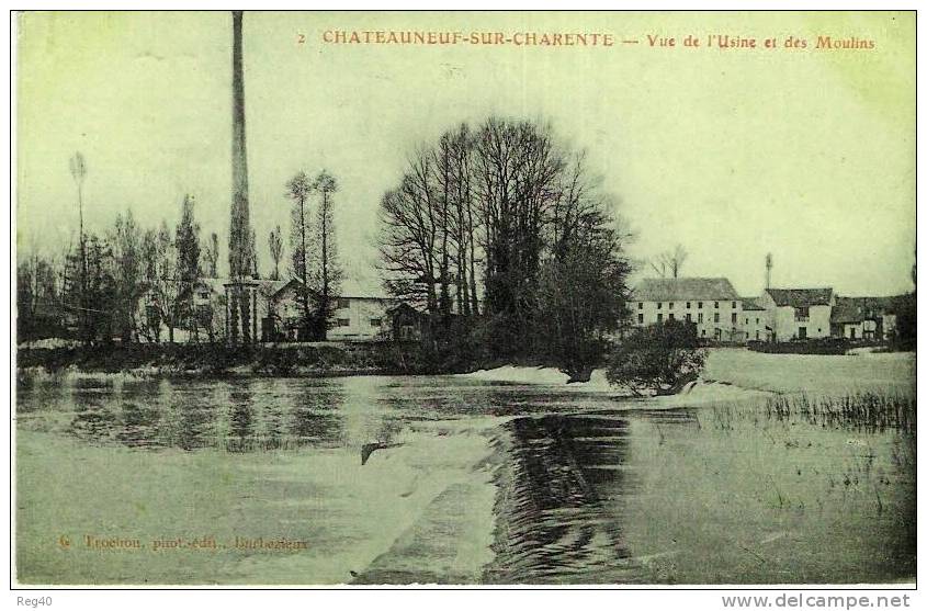 D16 - CHATEAUNEUF SUR CHARENTE  - Vue De  L'   Usine Et Des Moulins - Chateauneuf Sur Charente