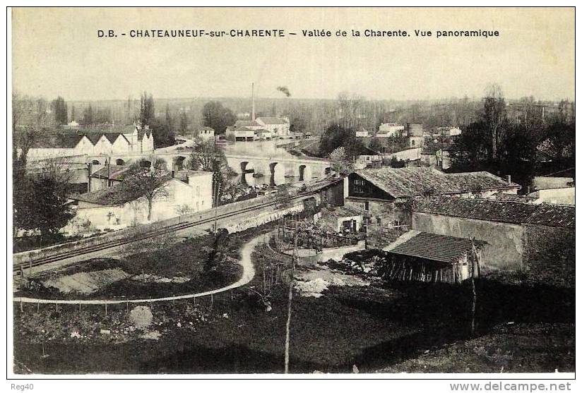 D16 - CHATEAUNEUF SUR CHARENTE  -  Vallée De La Charente  -  Vue Panoramique - Chateauneuf Sur Charente