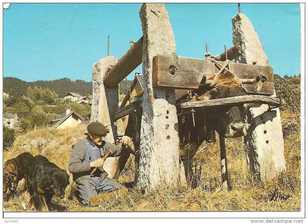 LUMIERE  ET COULEUR DES  PYRENEES- On Ferre La Vache - Equipaggiamenti