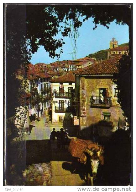 ESPAGNE Laredo Porte De Bilbao, Chaussée Romaine, Animée, Ane, Ed Arribas 2006, CPSM 10x15, 1966 - Cantabria (Santander)