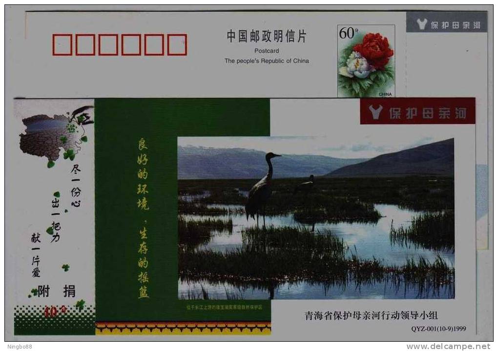 Black-necked Crane,Longbao Lake Wetland In Upriver Of Changjiang,CN 99 Protect Mother's River Advert Pre-stamped Card - Kranichvögel