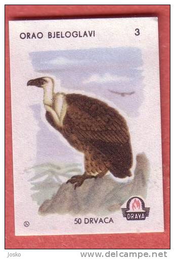 GRIFFON VULTURE (Yugoslavia Matchbox Label) Vautour Buitre Eagle Aigle Birds Of Pray Raptors Bird Etiquette D`allumettes - Matchbox Labels