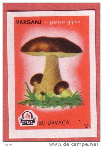 MUSHROOM  ( Yugoslavia Matchbox Label ) Champignon Champiñón Pilz Fungo Mushrooms Champignons * Etiquette D`allumettes - Matchbox Labels