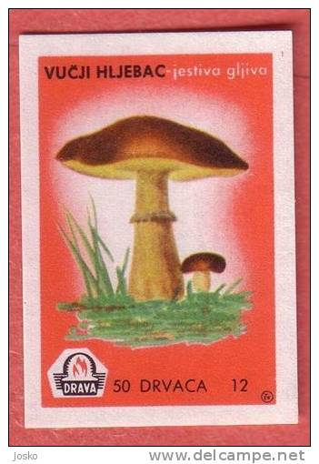 MUSHROOM  ( Yugoslavia Matchbox Label ) Champignon Champiñón Pilz Fungo Mushrooms Champignons * Etiquette D`allumettes - Matchbox Labels