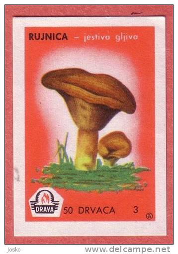 MUSHROOM  ( Yugoslavia Matchbox Label ) Champignon Champiñón Pilz Fungo Mushrooms Champignons * Etiquette D`allumettes - Matchbox Labels