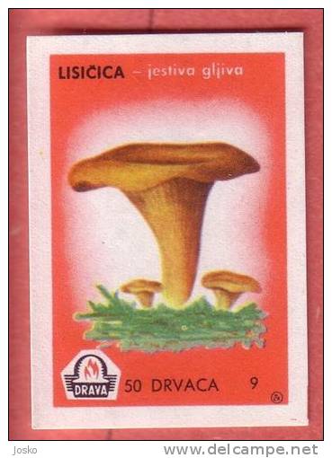 MUSHROOM  ( Yugoslavia Matchbox Label ) Champignon Champiñón Pilz Fungo Mushrooms Champignons * Etiquette D`allumettes - Matchbox Labels