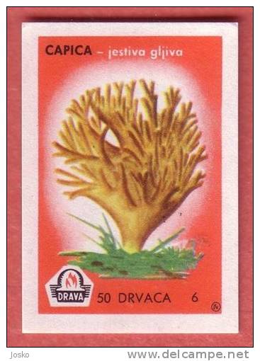 MUSHROOM  ( Yugoslavia Matchbox Label ) Champignon Champiñón Pilz Fungo Mushrooms Champignons * Etiquette D`allumettes - Matchbox Labels