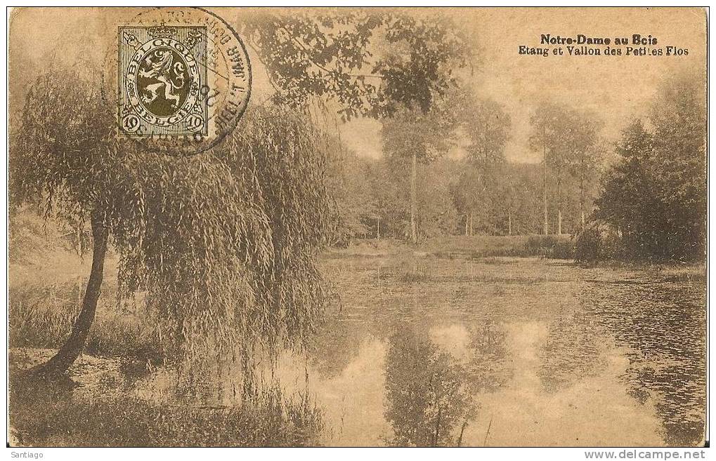 Postkaart / Carte Postale : Notre Dame Au Bois / Etang Et Vallon Des Petites Flos : Timbree Cote Vue - Overijse