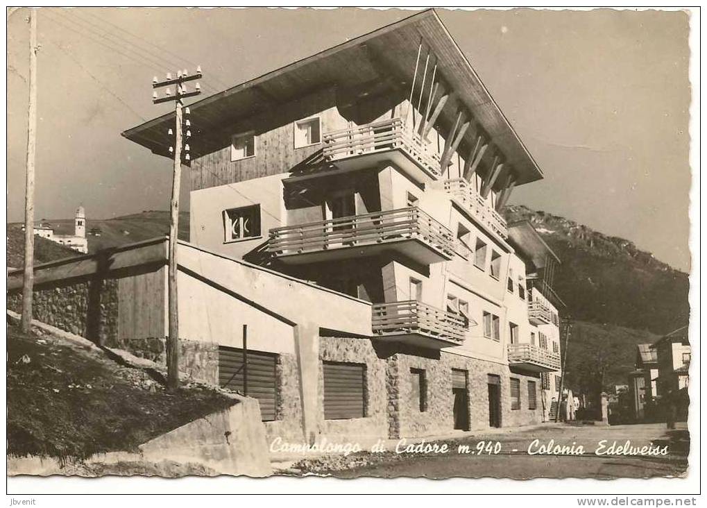 CAMPOLONGO  DI CADORE (Belluno) - Colonia Edelweiss - Belluno