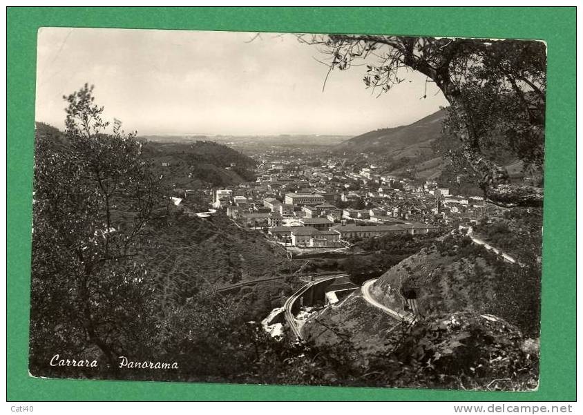 CARTOLINA-CARRARA-PANORAMA - Carrara