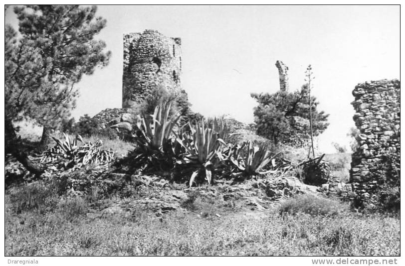 Grimaud - Vue Des Ruines Du Château - Port Grimaud