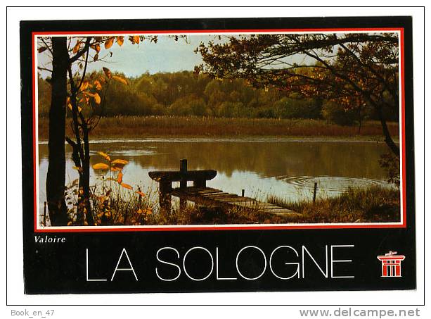{52625} La Sologne , Un étang à L´automne - Altri & Non Classificati