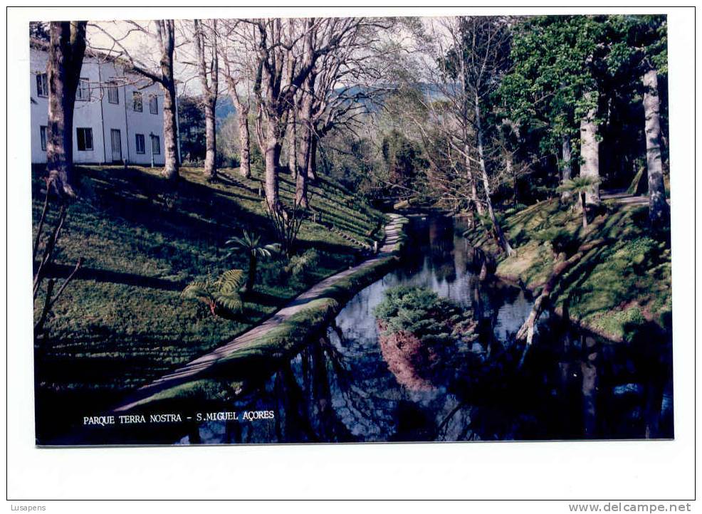 Portugal Cor 2371 – AÇORES AZORES AZOREN – FOTO – PARQUE TERRA NOSTRA - Açores