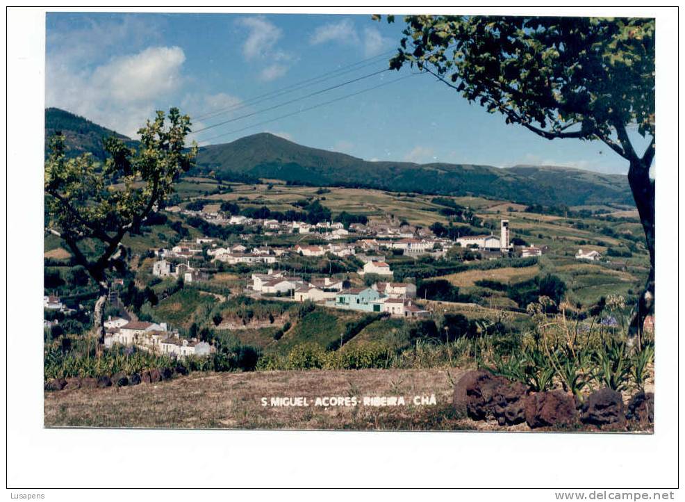 Portugal Cor 2373 – AÇORES AZORES AZOREN – FOTO – RIBEIRA CHÃ - Açores