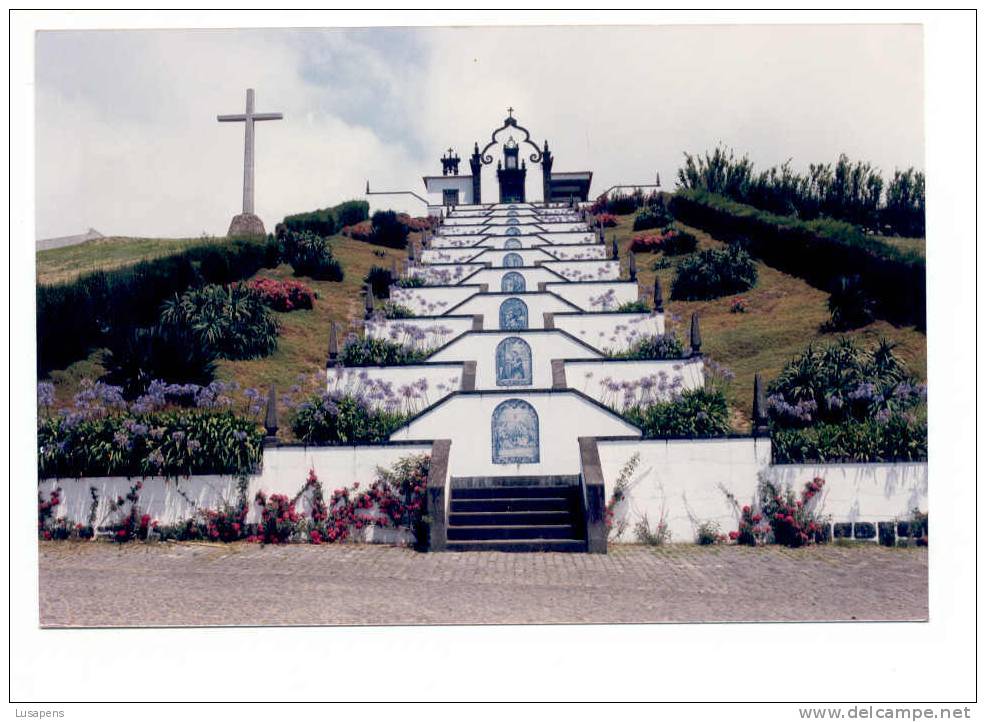 Portugal Cor 2389 – AÇORES AZORES AZOREN – FOTO – - Açores