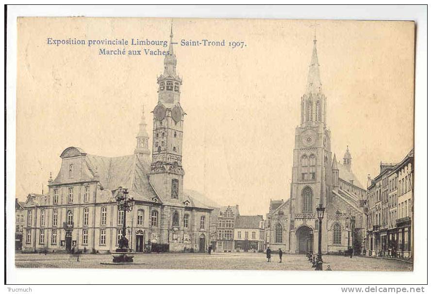 C7834 -  Exposition Provinciale Limbour - Saint Trond 1907 - Marché Aux Vaches - Sint-Truiden