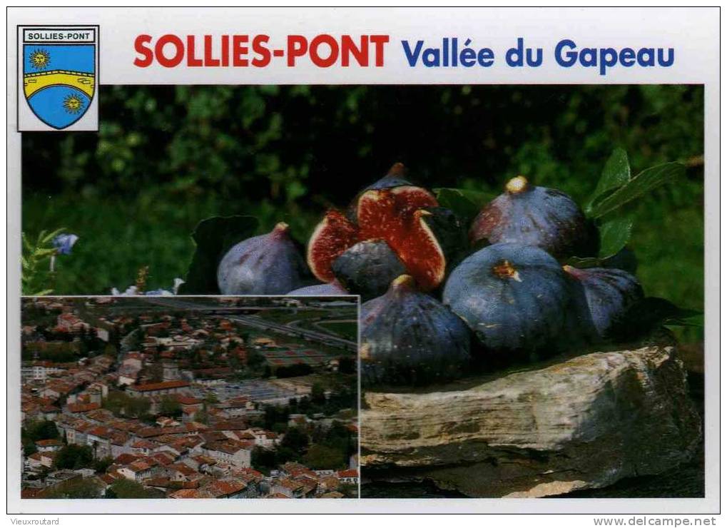 CPSM.  SOUVENIR DE SOLLIES PONT. LA VALLEE DU GAPEAU. - Sollies Pont