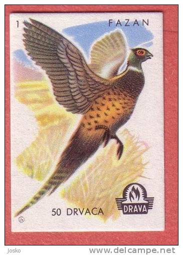 PHEASANT ( Yugoslavia Matchbox Label ) * Faisan Fasan Fagiano * Bird Oiseau Birds Pajaro Ucello * Etiquette D`allumettes - Matchbox Labels