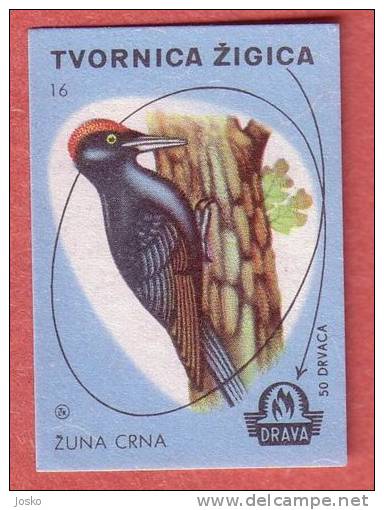 BLACK WOODPECKER ( Yugoslavia ) Dryocopus Martius Noir Pic Picchio Nero Bird * Matchbox Label Etiquette Allumettes - Matchbox Labels