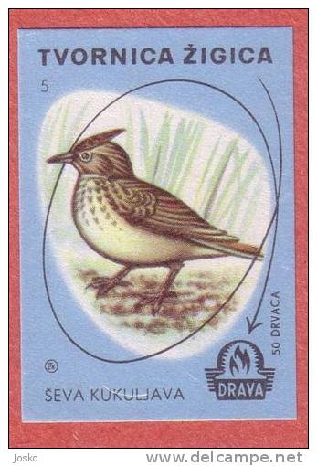 CRESTED LARK ( Yugoslavia) Galerida Cristata Haubenlerche Cappellaccia Alouette Bird Matchbox Label Etiquette Allumettes - Matchbox Labels