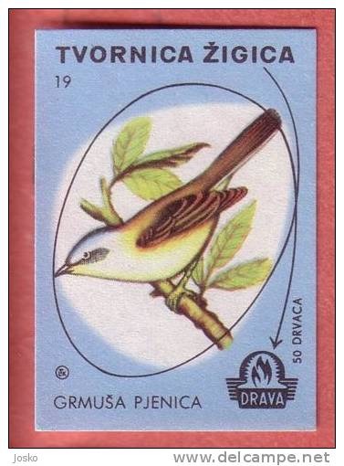 WHITETHROAT ( Yugoslavia ) Sylvia Communis Sterpazzola Dorngrasmücke Bird Oiseau Matchbox Label Etiquette Allumettes - Matchbox Labels
