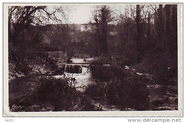 Dép 69 - W717 - Pontcharra Sur Turdine - Le Torrenchin, Les Cascades - Semi Moderne Petit Format - état - Pontcharra-sur-Turdine